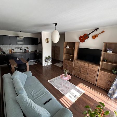 Bobo S House Διαμέρισμα Κλουζ-Ναπόκα Εξωτερικό φωτογραφία